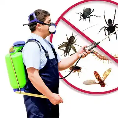 pest control Conneaut